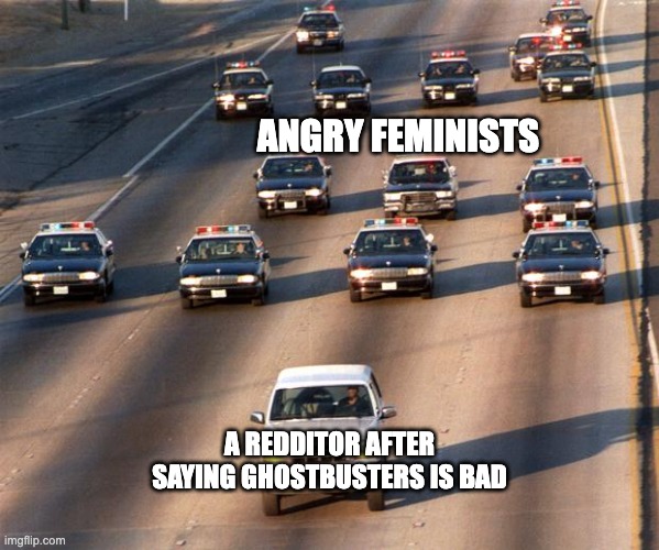 Lmfao | ANGRY FEMINISTS; A REDDITOR AFTER SAYING GHOSTBUSTERS IS BAD | image tagged in oj simpson police chase,memes,funny | made w/ Imgflip meme maker