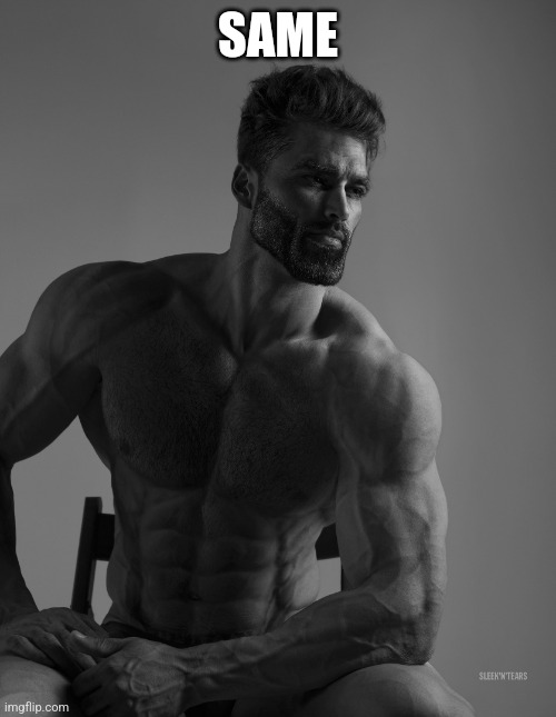 Giga Chad | SAME | image tagged in giga chad | made w/ Imgflip meme maker