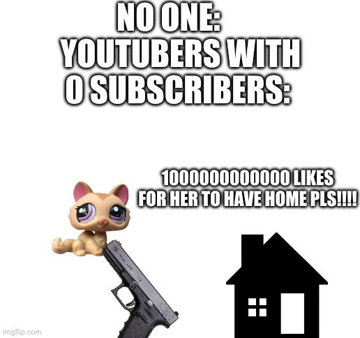 Blank White Template | NO ONE:     YOUTUBERS WITH 0 SUBSCRIBERS:; 1000000000000 LIKES FOR HER TO HAVE HOME PLS!!!! | image tagged in blank white template | made w/ Imgflip meme maker