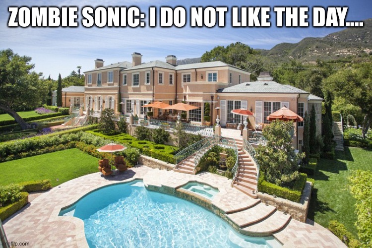 Zombie Sonic And Sonic have a little conversation. | ZOMBIE SONIC: I DO NOT LIKE THE DAY…. | image tagged in beach mansion | made w/ Imgflip meme maker