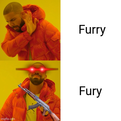 Kill... | Furry; Fury | image tagged in memes,drake hotline bling,anti furry,fury | made w/ Imgflip meme maker