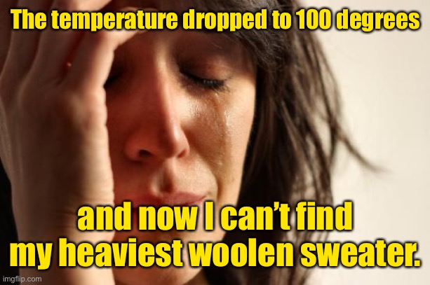 Gotta be prepared for these temp drops | The temperature dropped to 100 degrees; and now I can’t find my heaviest woolen sweater. | image tagged in memes,first world problems,heat,sweater | made w/ Imgflip meme maker