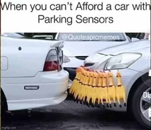 they honk when your too close so your good | image tagged in chicken,rubber ducks,funny,genius,invention,smart | made w/ Imgflip meme maker
