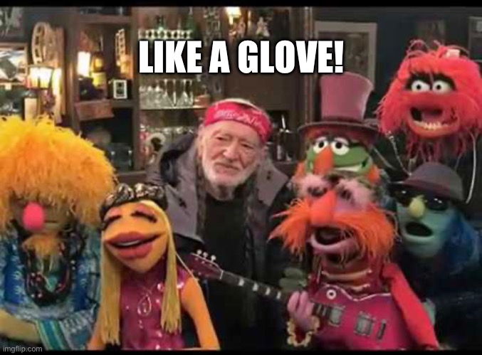 Fit Like A Glove! | LIKE A GLOVE! | image tagged in willie nelson,the muppets | made w/ Imgflip meme maker