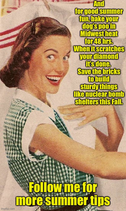 Have fun summer now! | And for good summer fun, bake your dog’s poo in Midwest heat for 48 hrs. When it scratches your diamond it’s done.  Save the bricks to build sturdy things like nuclear bomb shelters this Fall. Follow me for more summer tips | image tagged in 1950s housewife,dog poo,summer heat | made w/ Imgflip meme maker