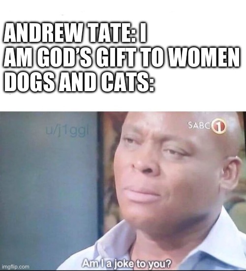 am I a joke to you | ANDREW TATE: I AM GOD’S GIFT TO WOMEN
DOGS AND CATS: | image tagged in am i a joke to you | made w/ Imgflip meme maker