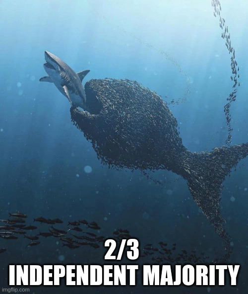 Independent Collective Assembly | 2/3 
INDEPENDENT MAJORITY | image tagged in independent collective | made w/ Imgflip meme maker