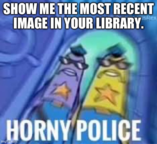 Horny police | SHOW ME THE MOST RECENT IMAGE IN YOUR LIBRARY. | image tagged in horny police | made w/ Imgflip meme maker