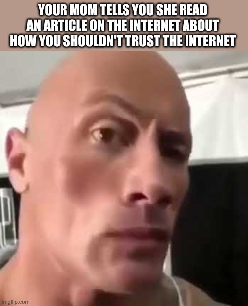 The Rock Eyebrows | YOUR MOM TELLS YOU SHE READ AN ARTICLE ON THE INTERNET ABOUT HOW YOU SHOULDN'T TRUST THE INTERNET | image tagged in the rock eyebrows,memes | made w/ Imgflip meme maker