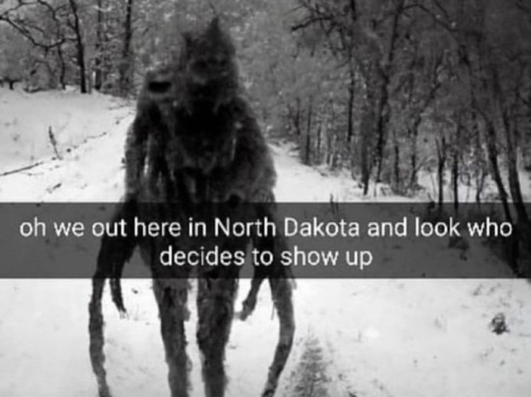 north dakota Blank Meme Template