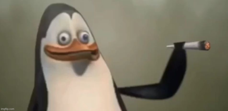 Kowalski | image tagged in kowalski | made w/ Imgflip meme maker