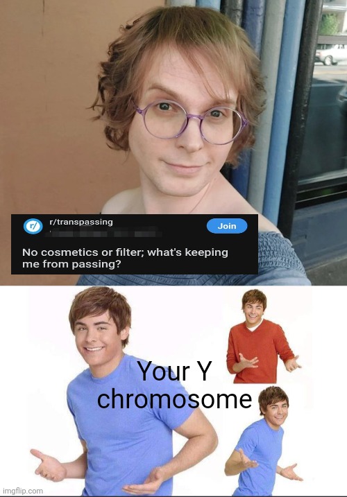 Y Chromosome. | Your Y chromosome | image tagged in shrugging guys | made w/ Imgflip meme maker