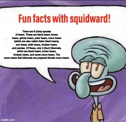 Fun Facts with Squidward | There are 9 (nine) species of bears. These are black bears, brown bears, grizzly bears, polar bears, moon bears (which are also called Asian black bears), sun bears, sloth bears, Andean bears, and pandas. Of these, only 4 (four) hibernate, which are black bears, brown bears, Andean bears, and some moon bears. The moon bears that hibernate are pregnant female moon bears. | image tagged in fun facts with squidward,memes,funny,bears,fun facts | made w/ Imgflip meme maker