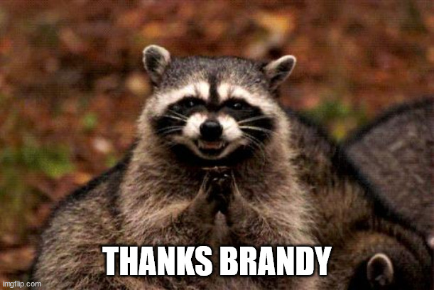 TB | THANKS BRANDY | image tagged in memes,evil plotting raccoon | made w/ Imgflip meme maker