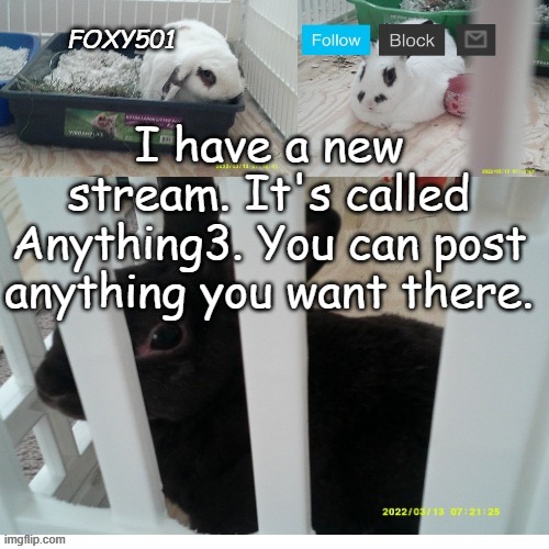 Link in comments | I have a new stream. It's called Anything3. You can post anything you want there. | image tagged in foxy501 announcement template | made w/ Imgflip meme maker