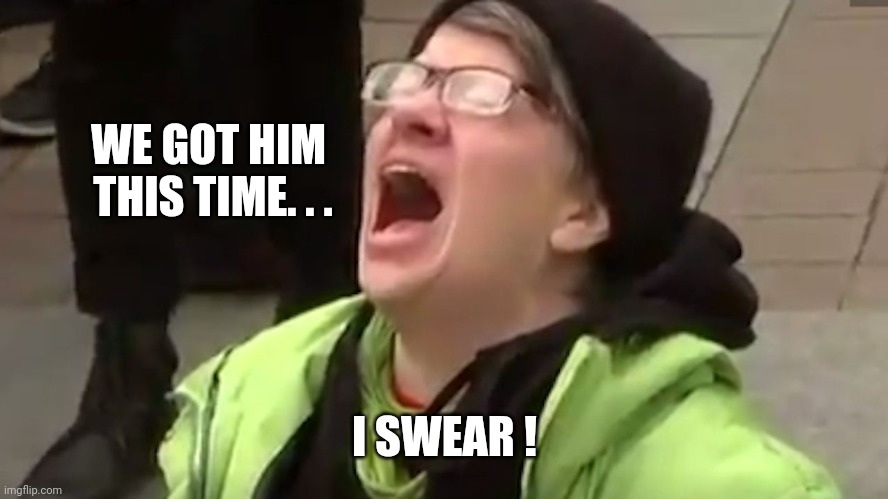 Screaming Liberal  | WE GOT HIM 
THIS TIME. . . I SWEAR ! | image tagged in screaming liberal | made w/ Imgflip meme maker