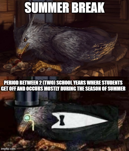 Tuxedo Buckbeak | SUMMER BREAK; PERIOD BETWEEN 2 (TWO) SCHOOL YEARS WHERE STUDENTS GET OFF AND OCCURS MOSTLY DURING THE SEASON OF SUMMER | image tagged in tuxedo buckbeak,memes,funny,summer,buckbeak,school | made w/ Imgflip meme maker