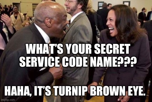Willie and Kamala | WHAT’S YOUR SECRET SERVICE CODE NAME??? HAHA, IT’S TURNIP BROWN EYE. | image tagged in willie and kamala | made w/ Imgflip meme maker