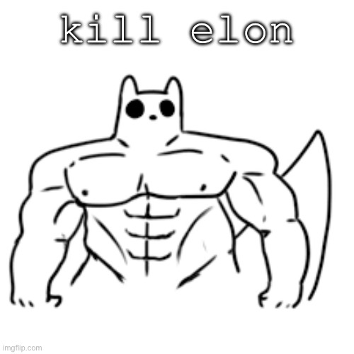 gain world | kill elon | image tagged in gain world | made w/ Imgflip meme maker