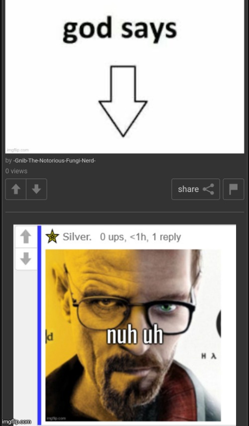 new temp since gnib asked | image tagged in god says nuh uh | made w/ Imgflip meme maker