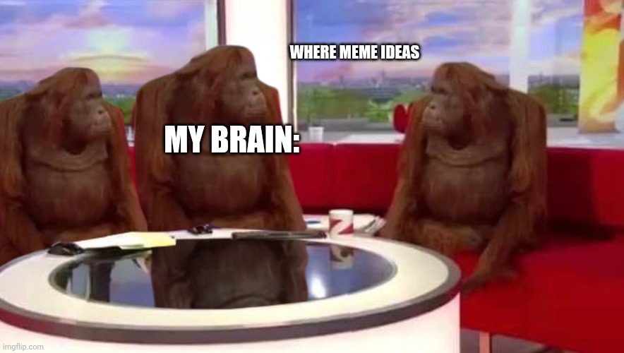 where monkey | WHERE MEME IDEAS; MY BRAIN: | image tagged in where monkey | made w/ Imgflip meme maker