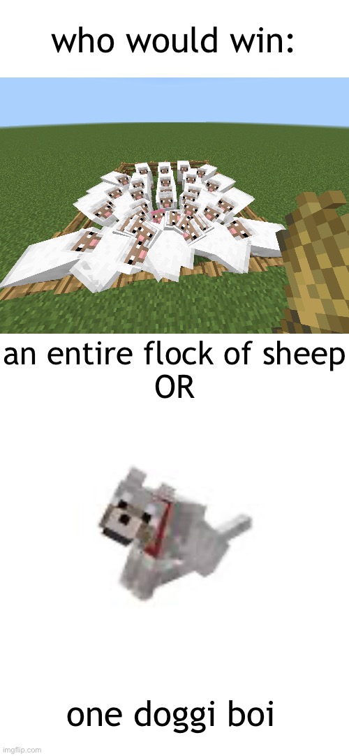 this is SO TRUE… | who would win:; an entire flock of sheep
OR; one doggi boi | image tagged in minecraft,minecraft memes | made w/ Imgflip meme maker
