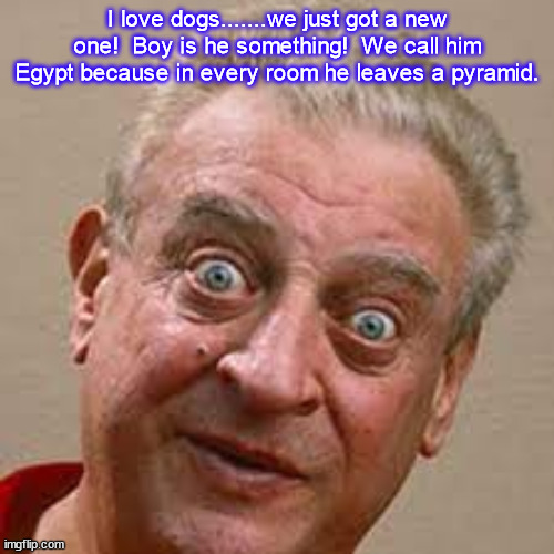 Rodney Dangerfield on dogs | I love dogs.......we just got a new one!  Boy is he something!  We call him Egypt because in every room he leaves a pyramid. | image tagged in bad pun rodney dangerfield,dogs pets funny,dogs pyramid | made w/ Imgflip meme maker