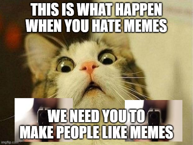 this what happen | THIS IS WHAT HAPPEN WHEN YOU HATE MEMES; WE NEED YOU TO MAKE PEOPLE LIKE MEMES | image tagged in memes,scared cat | made w/ Imgflip meme maker