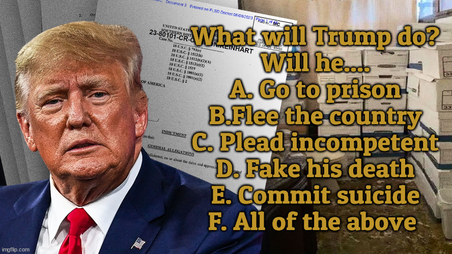 What will Trump do? | What will Trump do?
Will he....
A. Go to prison
B.Flee the country
C. Plead incompetent
D. Fake his death
E. Commit suicide
F. All of the above | image tagged in trump,convict,prison,suicide,fake death,insanity | made w/ Imgflip meme maker