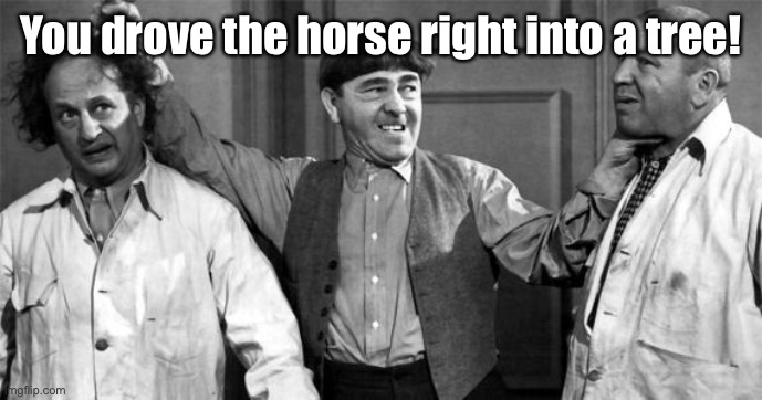 Three Stooges | You drove the horse right into a tree! | image tagged in three stooges | made w/ Imgflip meme maker