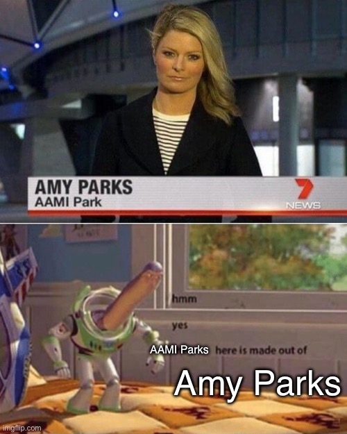 Amy AAMI Parks | Amy Parks; AAMI Parks | image tagged in hmm yes buzz floor deleted,parks and rec,dad joke | made w/ Imgflip meme maker