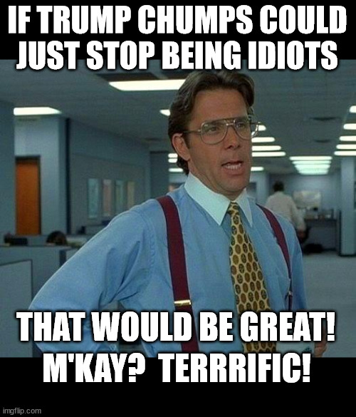 That Would Be Great Meme | IF TRUMP CHUMPS COULD
JUST STOP BEING IDIOTS; THAT WOULD BE GREAT! M'KAY?  TERRRIFIC! | image tagged in memes,that would be great | made w/ Imgflip meme maker
