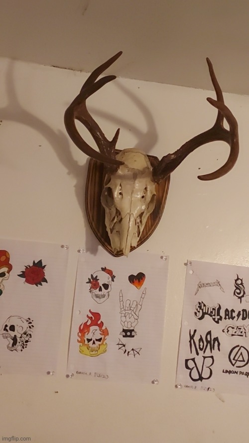Deer skull bc yes | image tagged in deer | made w/ Imgflip meme maker