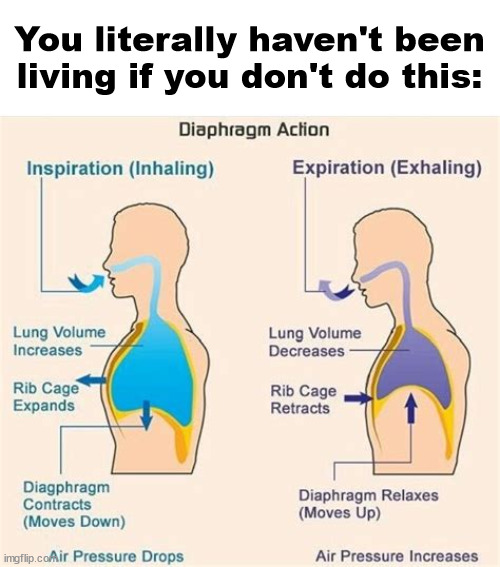 You literally haven't been living if you don't do this: | image tagged in funny | made w/ Imgflip meme maker