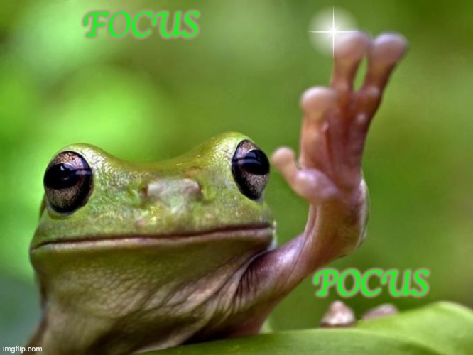 Focus, or there will be poke-ses | FOCUS; POCUS | image tagged in angry tree frog,magic,hocus pocus | made w/ Imgflip meme maker