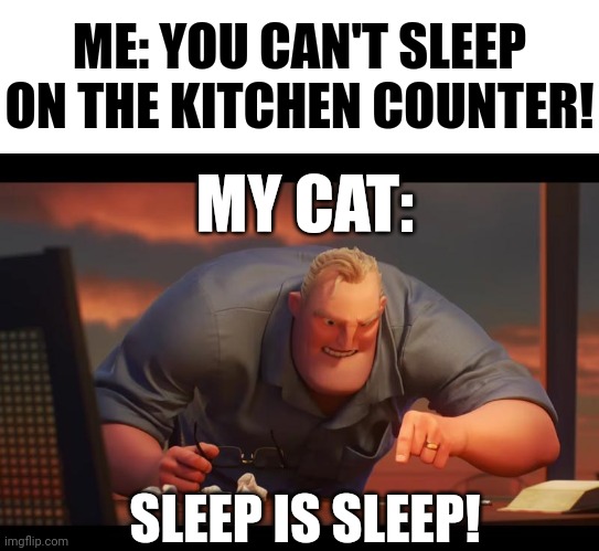 ME: YOU CAN'T SLEEP ON THE KITCHEN COUNTER! MY CAT:; SLEEP IS SLEEP! | image tagged in blank white template,math is math | made w/ Imgflip meme maker