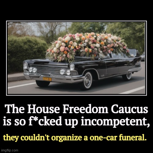 The House Freedom Caucus is so f*cked up incompetent, | they couldn't organize a one-car funeral. | image tagged in funny,demotivationals,maga,house,freedom,incompetence | made w/ Imgflip demotivational maker