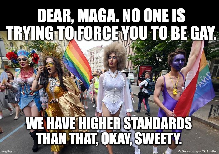 Gay Pride Parade | DEAR, MAGA. NO ONE IS TRYING TO FORCE YOU TO BE GAY. WE HAVE HIGHER STANDARDS THAN THAT, OKAY, SWEETY. | image tagged in gay pride parade | made w/ Imgflip meme maker