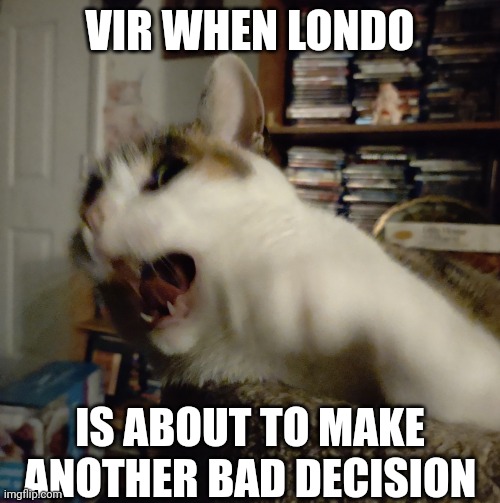 Vir is Londo's Conscience | VIR WHEN LONDO; IS ABOUT TO MAKE ANOTHER BAD DECISION | image tagged in panic cat,tv show,cat,funny memes,babylon 5,sci-fi | made w/ Imgflip meme maker