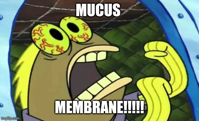 Mucus membrane!!! | MUCUS; MEMBRANE!!!!! | image tagged in spongebob chocolate | made w/ Imgflip meme maker