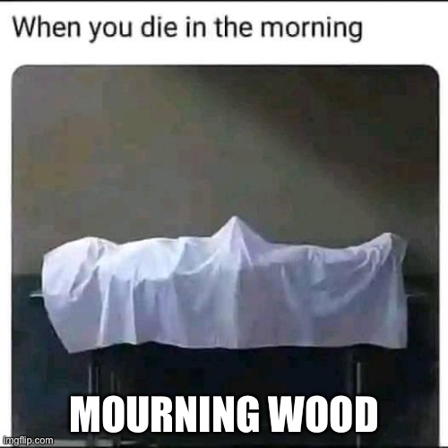 Dead man morning | MOURNING WOOD | image tagged in morning,die,dead,mourning | made w/ Imgflip meme maker