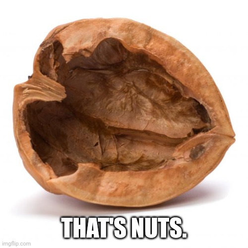 Nutshell | THAT'S NUTS. | image tagged in nutshell | made w/ Imgflip meme maker