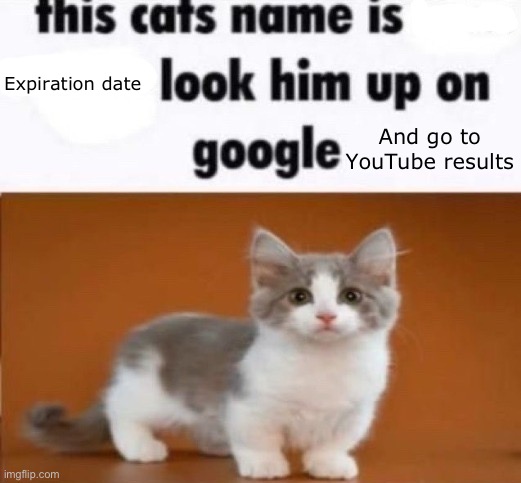 Sh*t’s fire | Expiration date; And go to YouTube results | image tagged in this cats name is x look him up on google,expiration date,tf2 | made w/ Imgflip meme maker