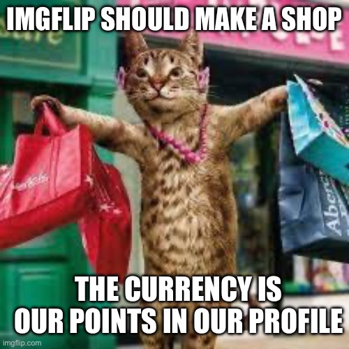 I think in my opinion I’d love this | IMGFLIP SHOULD MAKE A SHOP; THE CURRENCY IS OUR POINTS IN OUR PROFILE | image tagged in cat shopping,shopping cart,online shopping,imgflip,points,imgflip points | made w/ Imgflip meme maker