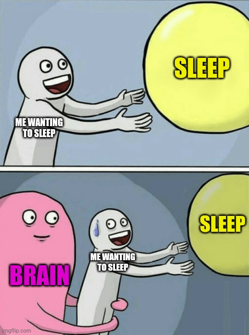 I hate my brain | SLEEP; ME WANTING TO SLEEP; SLEEP; ME WANTING TO SLEEP; BRAIN | image tagged in memes,running away balloon | made w/ Imgflip meme maker