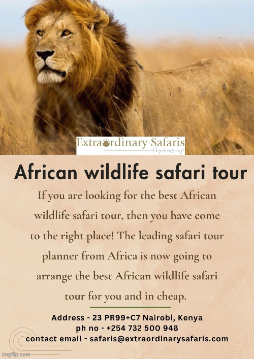 African wildlife safari tour | image tagged in luxury african safari tour,african wildlife safari tour,great african safari package cost | made w/ Imgflip meme maker