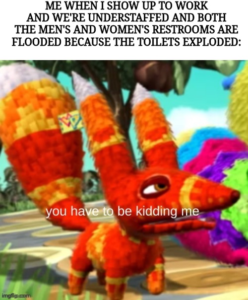 True story | ME WHEN I SHOW UP TO WORK AND WE'RE UNDERSTAFFED AND BOTH THE MEN'S AND WOMEN'S RESTROOMS ARE FLOODED BECAUSE THE TOILETS EXPLODED: | image tagged in work,relatable,funny | made w/ Imgflip meme maker