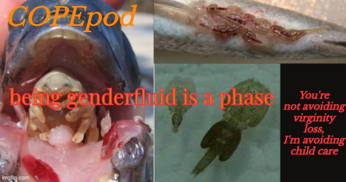 COPEpod's announcement template | being genderfluid is a phase | image tagged in copepod's announcement template | made w/ Imgflip meme maker