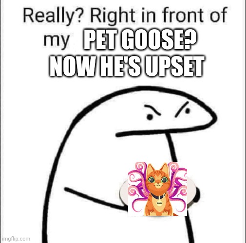 Really? Right in front of my pancit? | NOW HE'S UPSET; PET GOOSE? | image tagged in really right in front of my pancit | made w/ Imgflip meme maker