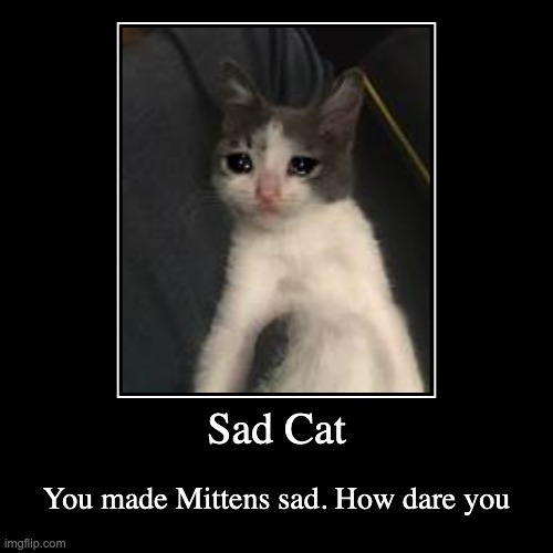 Sad Cat | You made Mittens sad. How dare you | image tagged in funny,demotivationals | made w/ Imgflip demotivational maker